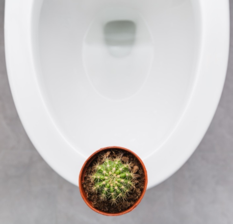 14.png