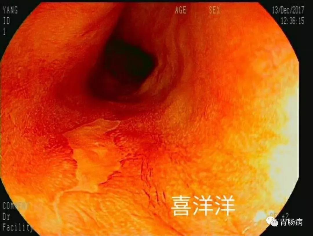 微信图片_20210204135420.jpg