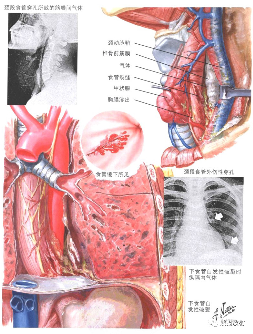 微信图片_20220311150110.jpg