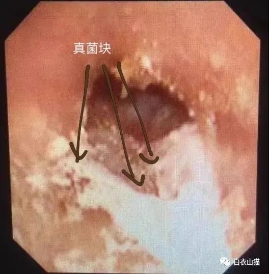 微信图片_20210402133449.jpg