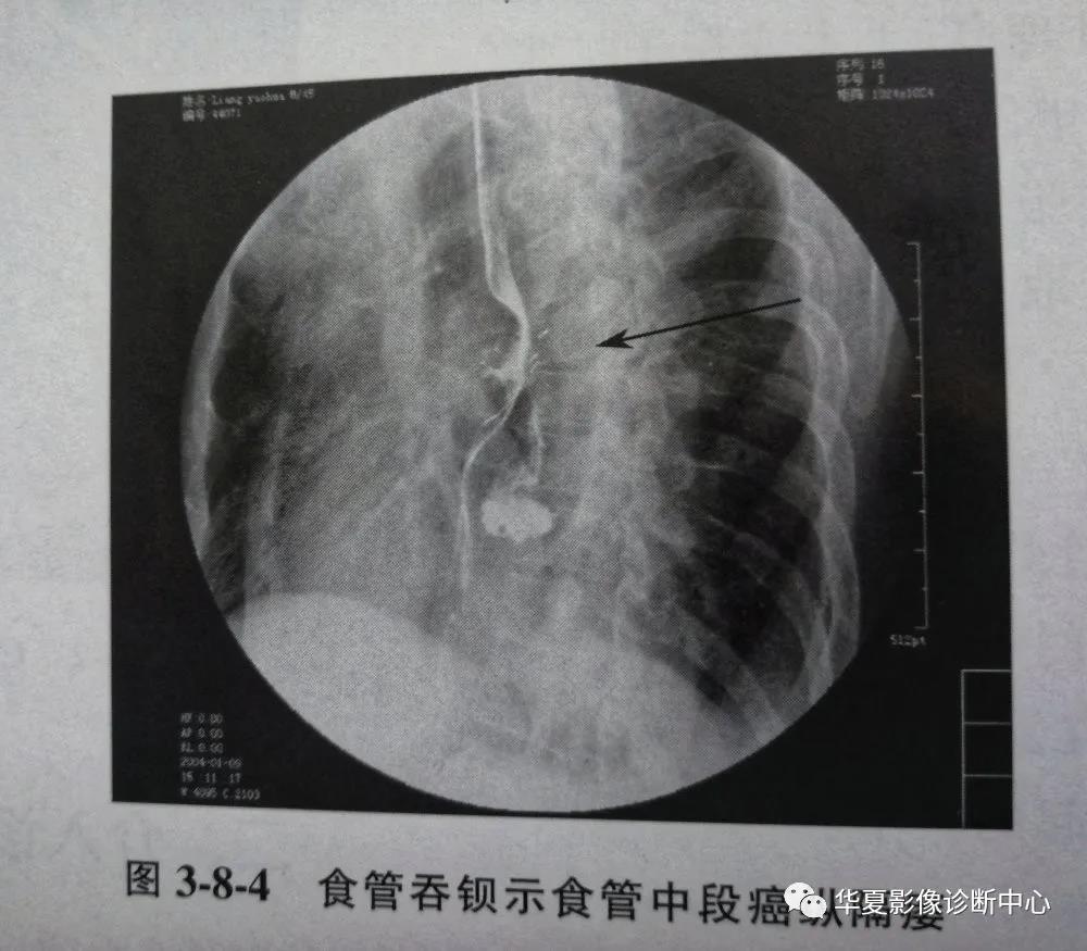 微信图片_20210721094836.jpg