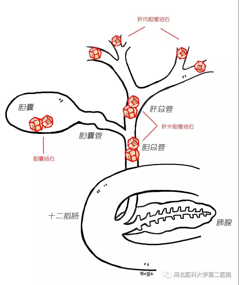 微信图片_20211227170332.jpg