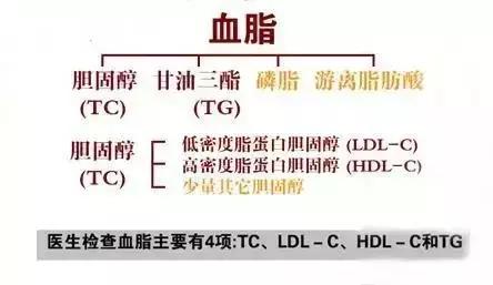 微信图片_20181029101245.jpg