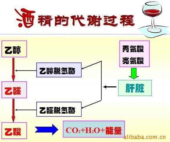 微信图片_20210218153121.jpg