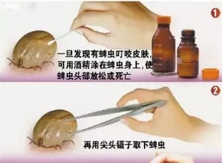 微信图片_20200505091920.jpg