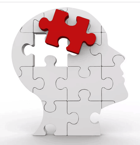 大脑拼图.png