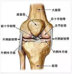 壹生资讯 膝盖疼到不能打球 当心半月板损伤 这套损伤自查法你我都值得拥有