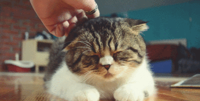 微信图片_20200804093828.gif