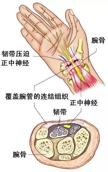 微信图片_20200725091916.jpg