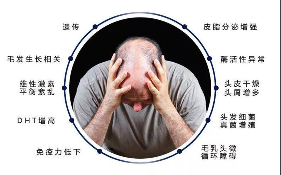 微信图片_20200803141331.jpg