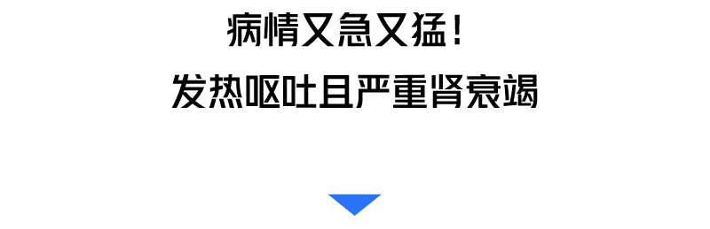 微信图片_20200611102017.png
