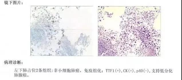 微信图片_20200716093719.jpg