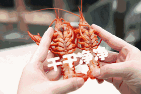 微信图片_20200731100131.gif