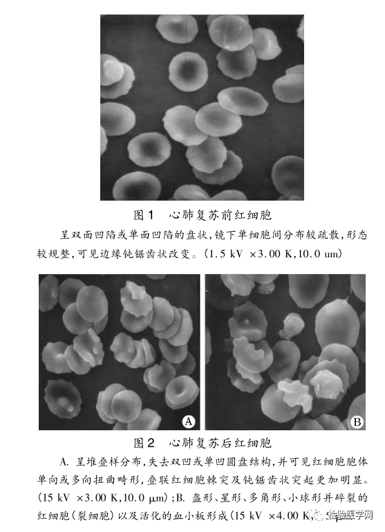 微信图片_20200722103049.png