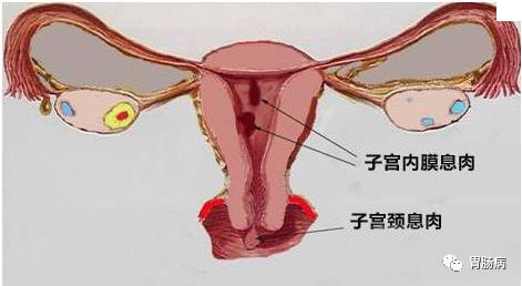 微信图片_20200715110633.jpg