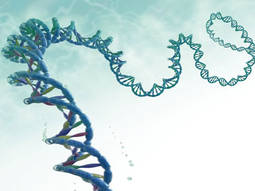 二代测序协助确诊结脑,成功救治菲律宾籍海员
