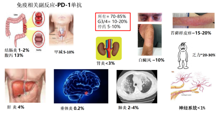 微信截图_20200618174306.png