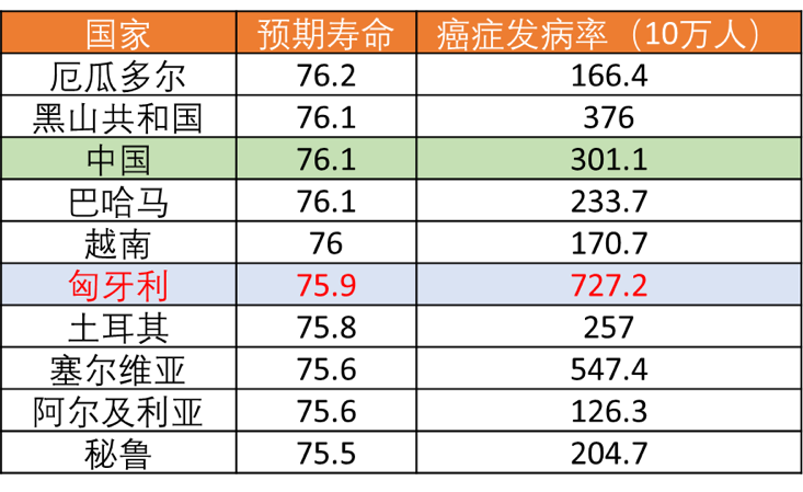 菠3.jpg