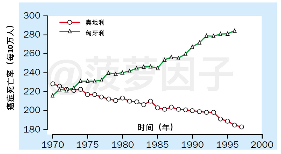 菠12.jpg