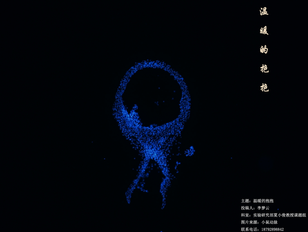 微信图片_20210714143508.png