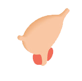 微信图片_20200729143830.png