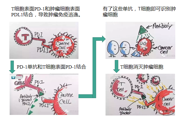微信图片_20210329104251.png