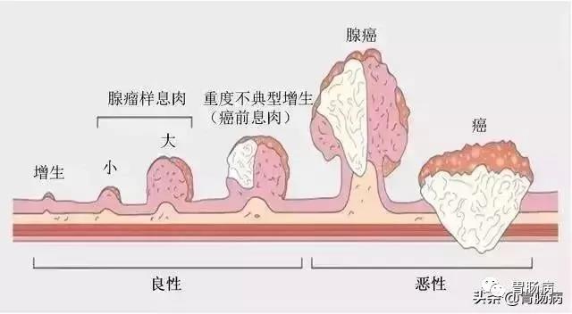 微信图片_20210511111150.jpg