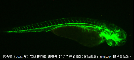 微信图片_20210714143607.png