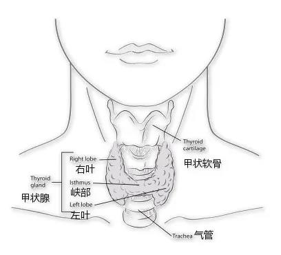 微信图片_20210611105048.jpg