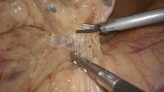 微信图片_20200709142400.gif