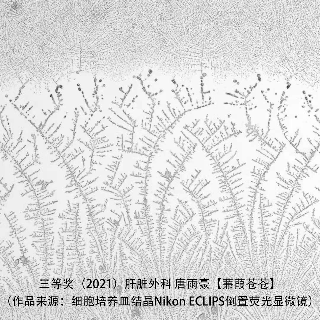 微信图片_20210714143524.png