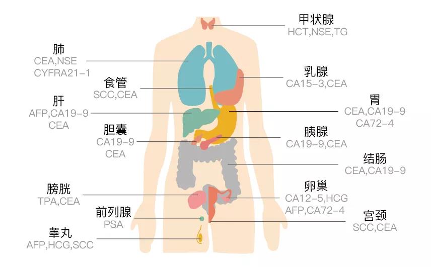 微信图片_20200729143629.jpg
