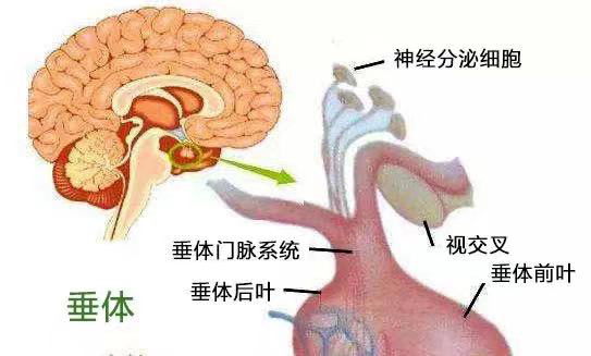 微信图片_20210312101231.png