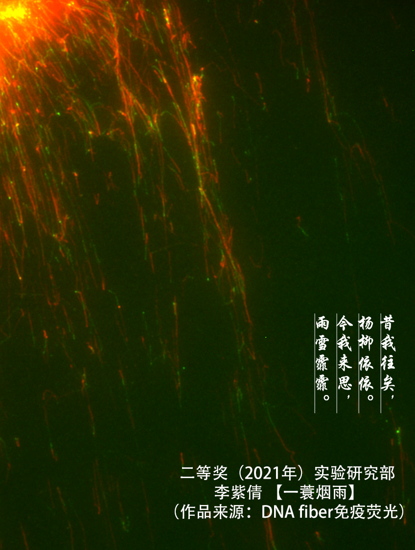 微信图片_20210714143454.png