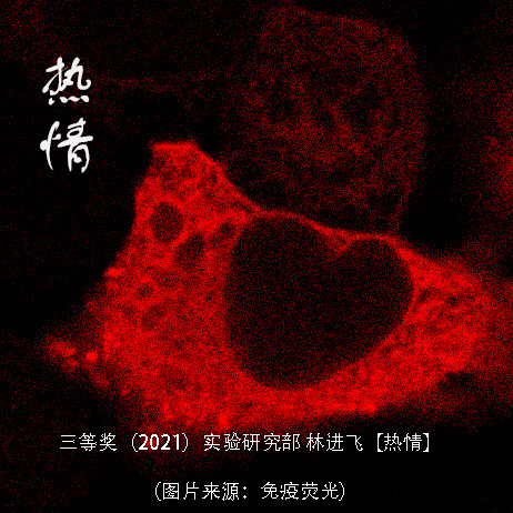 微信图片_20210714143528.png