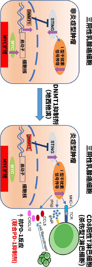 微信图片_20210730144119.png