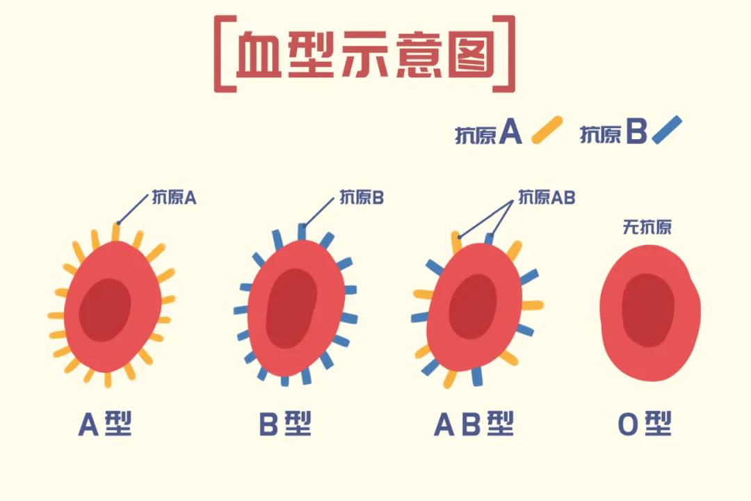 微信图片_20201218174249.jpg