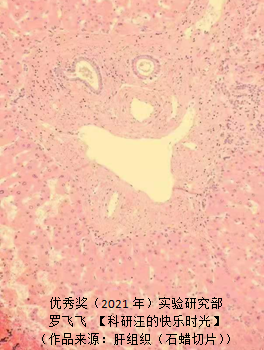微信图片_20210714143601.png