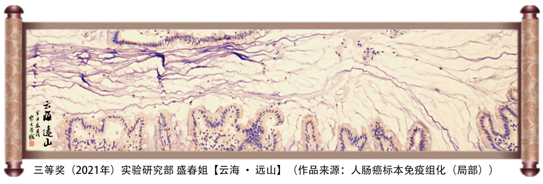 微信图片_20210714143517.png