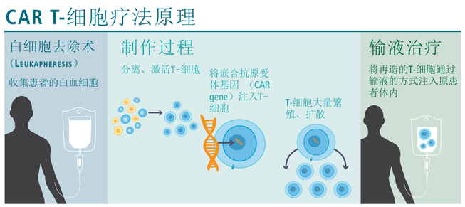微信图片_20210326100136.png