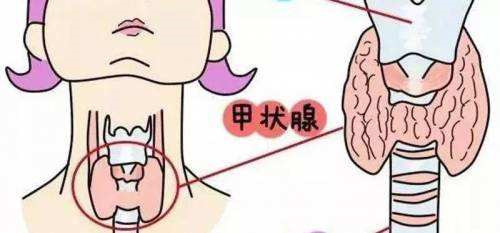 微信图片_20200813135546.png