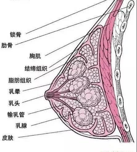 微信图片_20201120160220.jpg