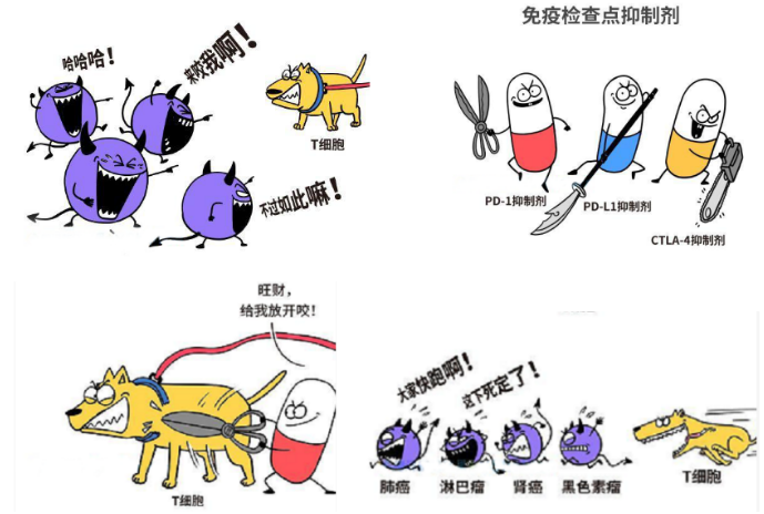 微信截图_20200618174010.png