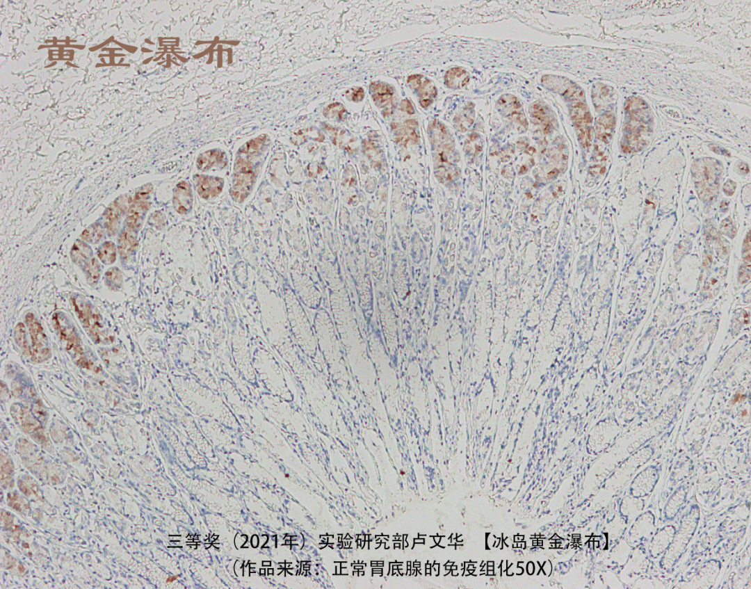 微信图片_20210714143510.png