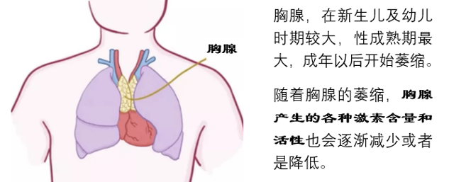 微信图片_20201127150533.png