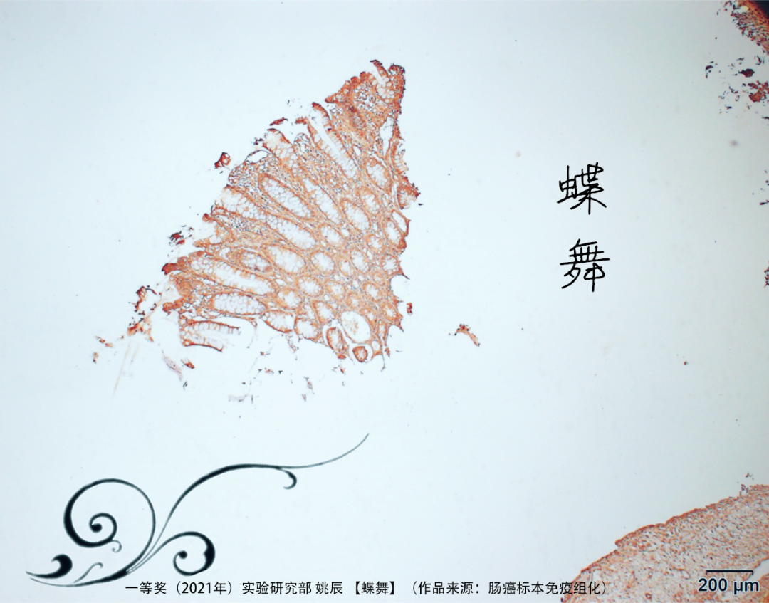微信图片_20210714143451.png