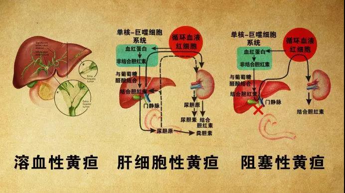 微信图片_20201016142550.jpg