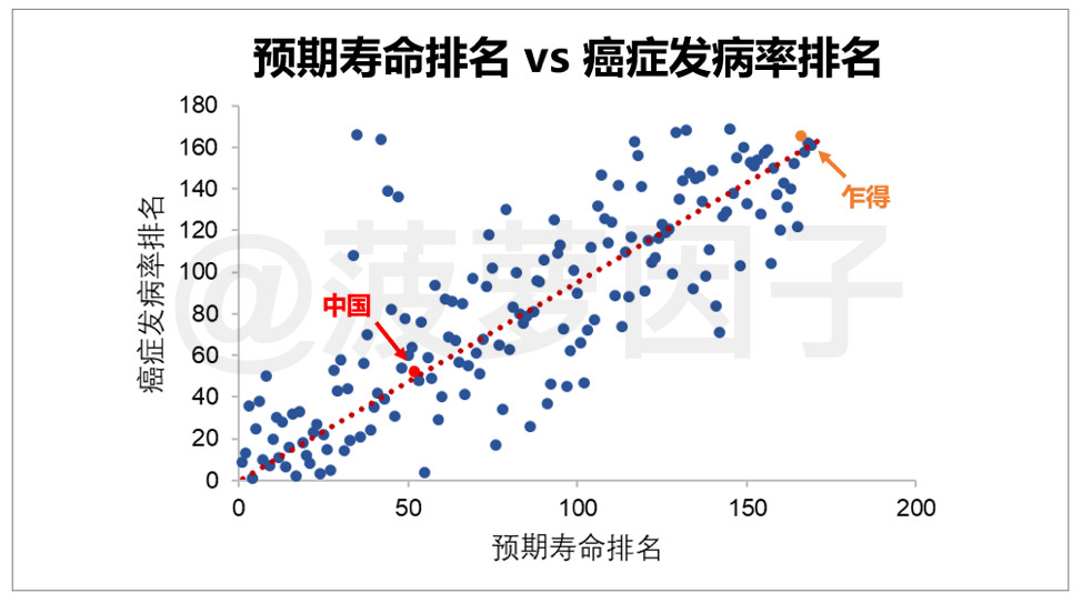菠2.jpg