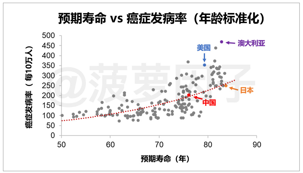 菠3.jpg
