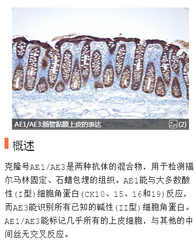 微信图片_20201205144020.png